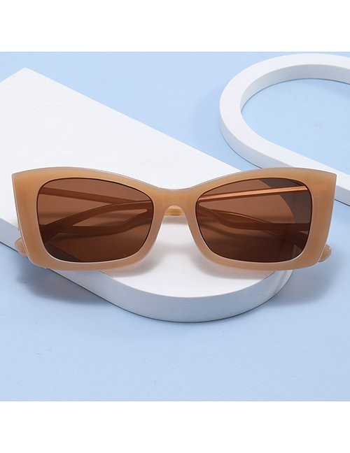 Очки Z10104 Очки Z10104