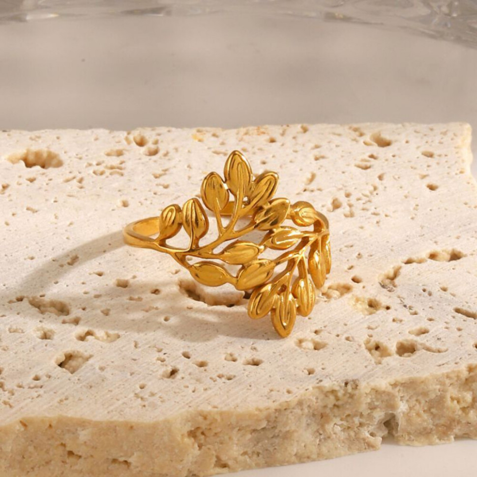 Кольцо сталь CJH53585 Кольцо сталь CJH53585