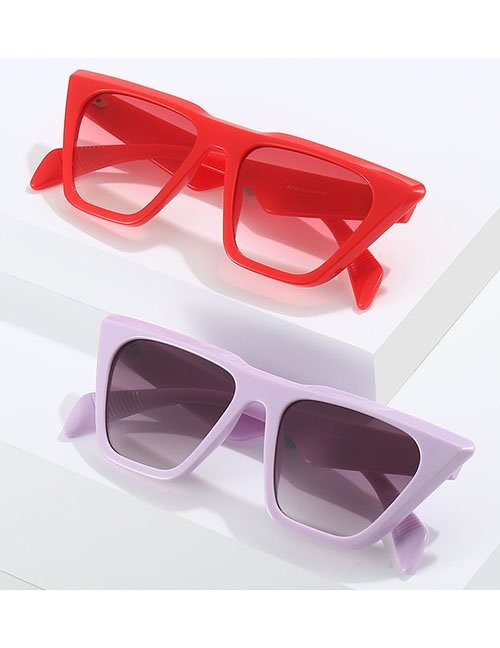 Очки Z31988 Очки Z31988