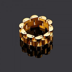 Кольцо сталь CJD93743 Кольцо сталь CJD93743