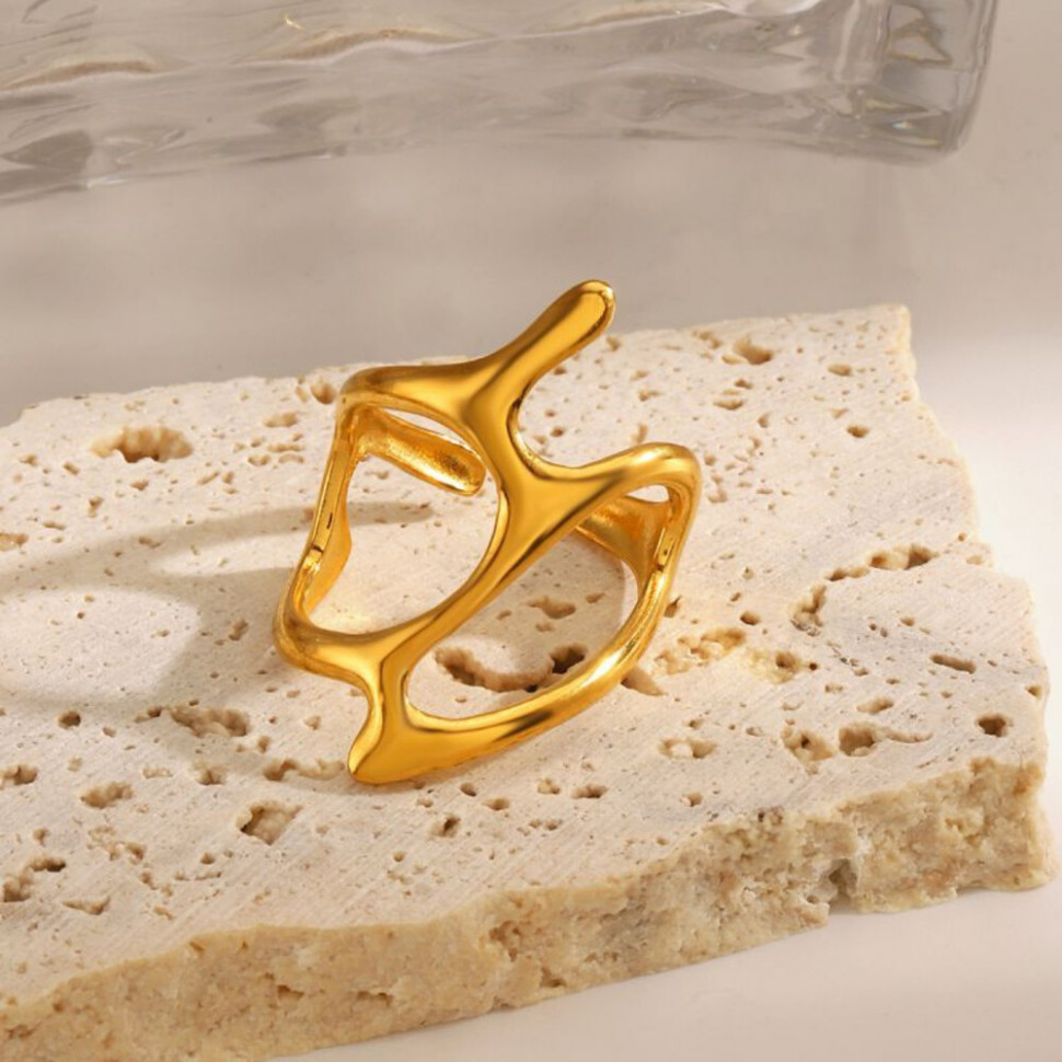 Кольцо сталь CJH53589 Кольцо сталь CJH53589