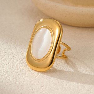 Кольцо сталь CJL83656 Кольцо сталь CJL83656