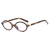 Очки CJL09413