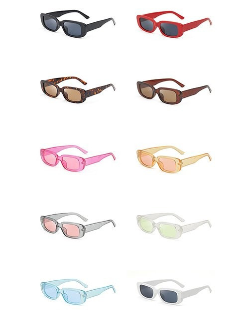 Очки Z10253 Очки Z10253