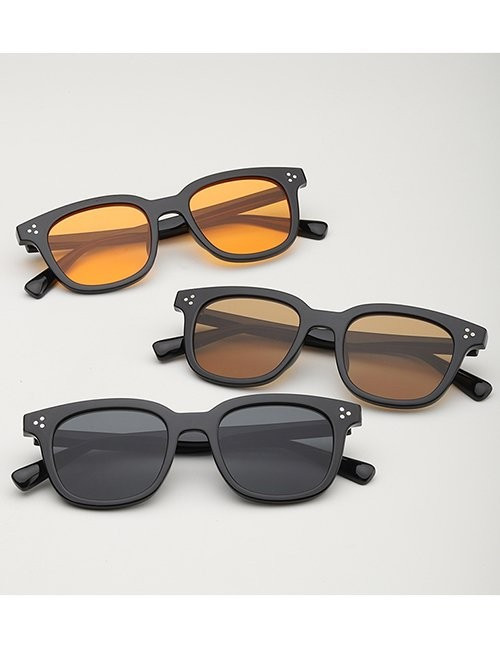 Очки Z10024 Очки Z10024