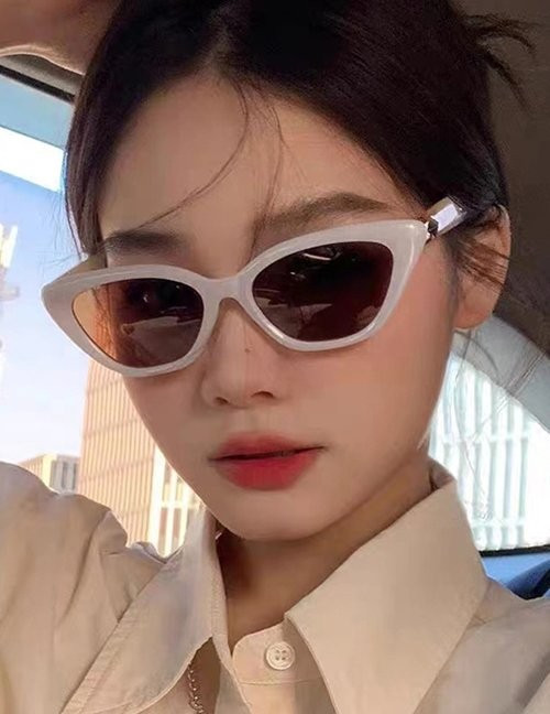 Очки Z11283 Очки Z11283