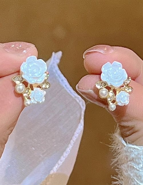 Ювелирные серьги Z55042