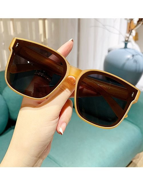 Очки Z10461 Очки Z10461