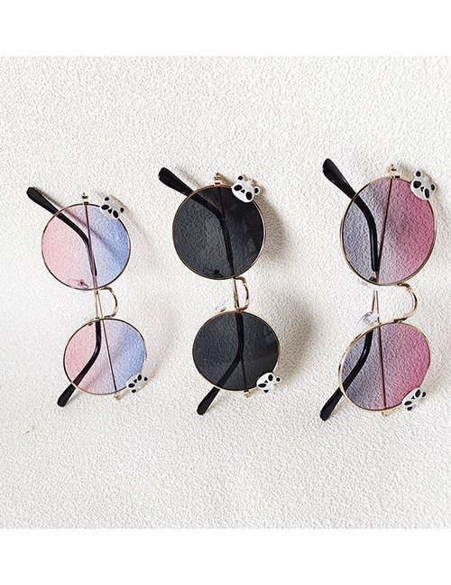 Очки Z62278 Очки Z62278