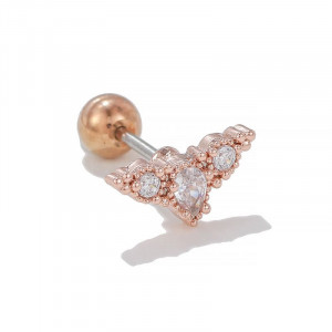 Пирсинг в уши N81796 Пирсинг в уши N81796