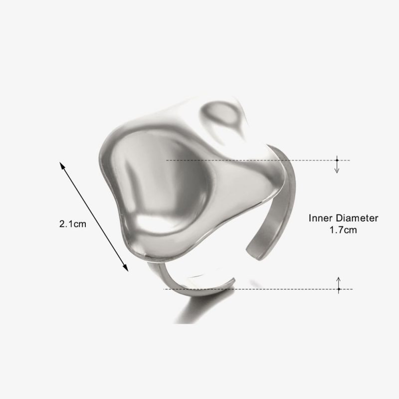 Кольцо сталь CJN25434 Кольцо сталь CJN25434