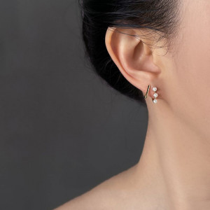 Ювелирные серьги CJT04229 Ювелирные серьги CJT04229