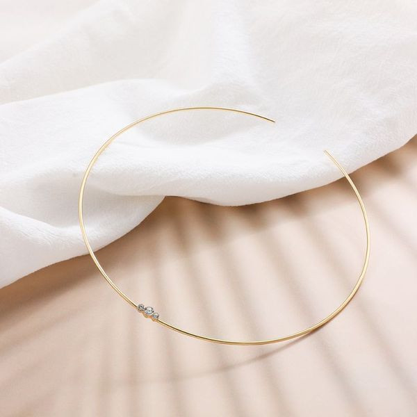 Колье из стали CJL50167 Колье из стали CJL50167