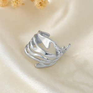 Кольцо титановая сталь 1J12370CJJ