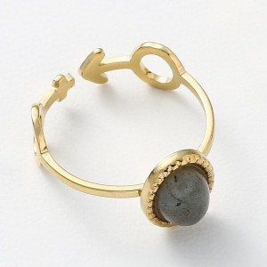 Кольцо сталь CJL46933 Кольцо сталь CJL46933