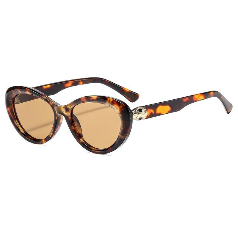 Очки CJL73852 Очки CJL73852