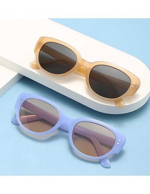 Очки Z11065 Очки Z11065