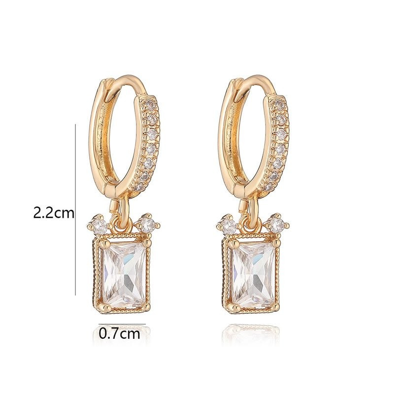 Ювелирные серьги N96319