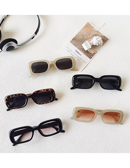 Очки Z61024 Очки Z61024