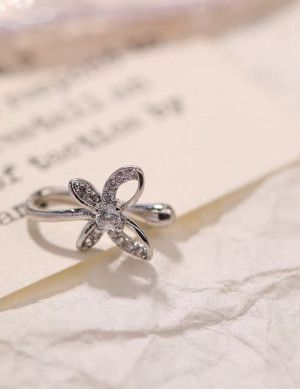 Пирсинг Z59356 Пирсинг Z59356