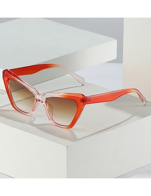 Очки R64438 Очки R64438