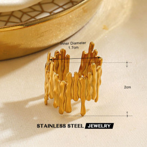 Кольцо сталь CJR55597