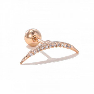 Пирсинг в уши CJE09413 Пирсинг в уши CJE09413