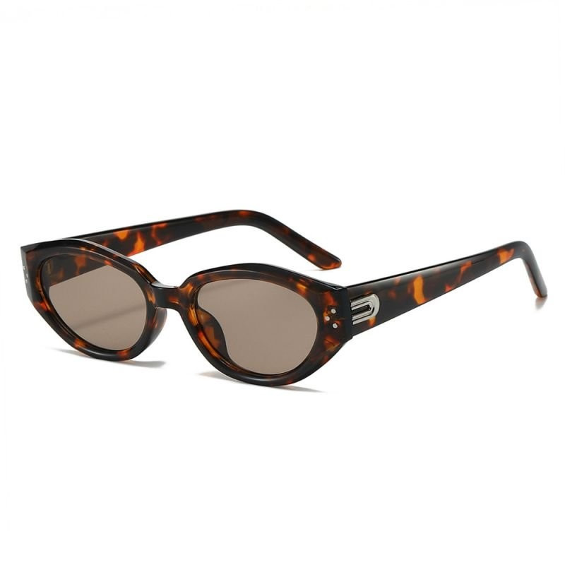 Очки CJD78081 Очки CJD78081