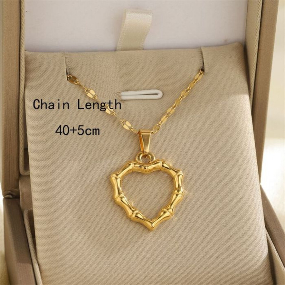 Колье из стали CJH43168