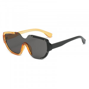 Очки CJE00528 Очки CJE00528