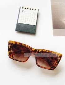 Солнцезащитные очки R33999