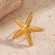 Крупное кольцо в форме морской звезды с фактурой CJN27807