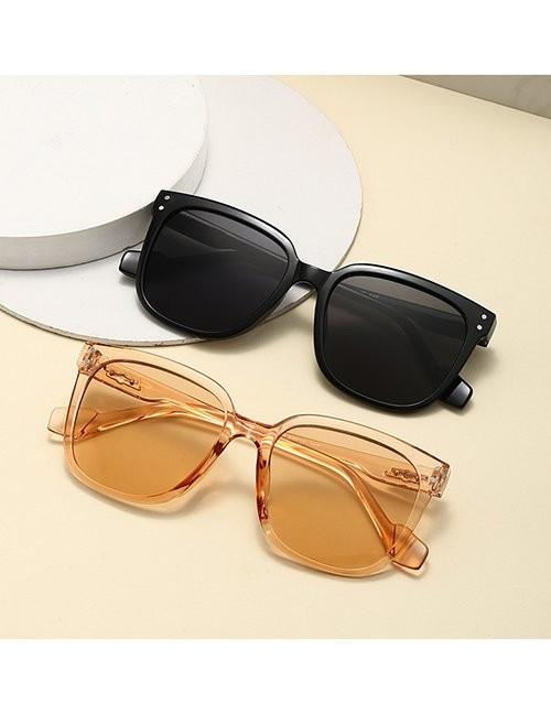 Очки Z10091 Очки Z10091