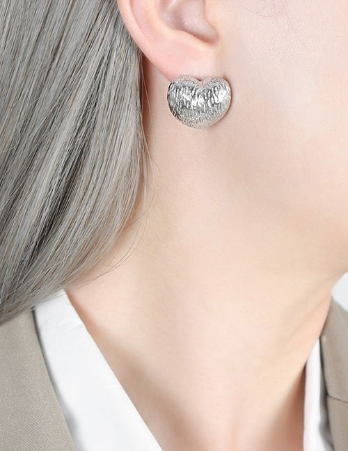 Серьги сталь Z08900