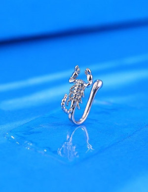 Пирсинг Z59266 Пирсинг Z59266