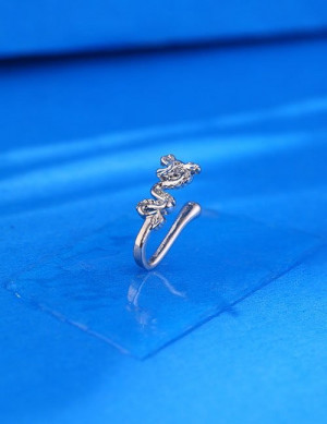 Пирсинг Z59267