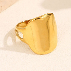 Кольцо сталь CJL13506 Кольцо сталь CJL13506