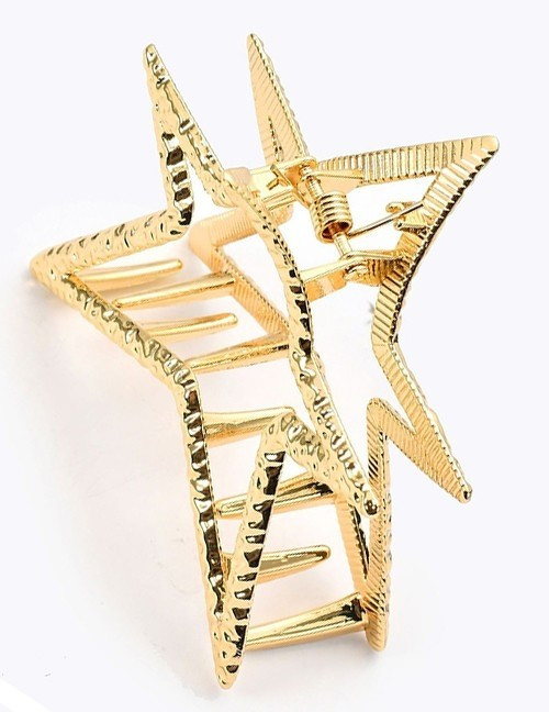 Заколка F01662 Заколка F01662