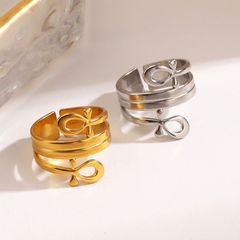 Кольцо сталь CJR55684 Кольцо сталь CJR55684