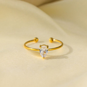 Кольцо сталь CJH15732 Кольцо сталь CJH15732