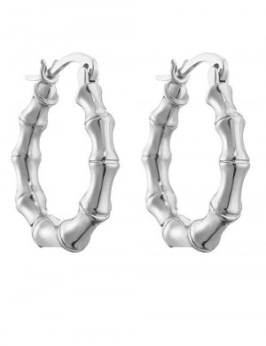 Ювелирные серьги Z38025