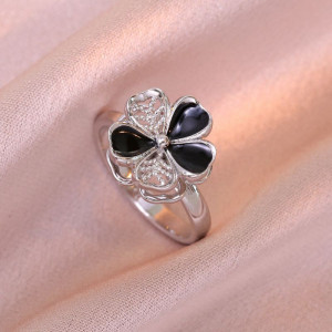 Кольцо сталь CJH12687 Кольцо сталь CJH12687