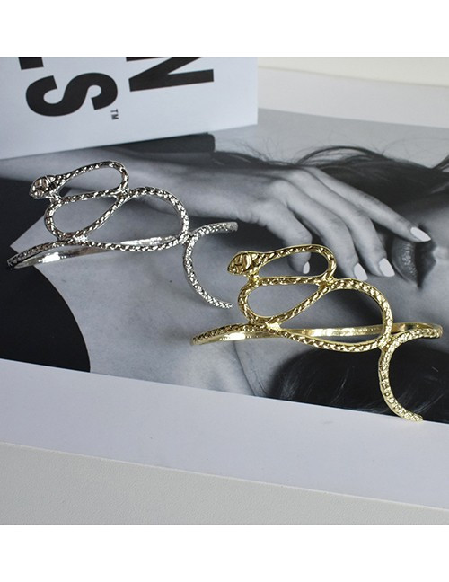 Браслет жесткий змея с фактурной проработкой CJG65269