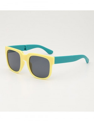 Очки Z60451 Очки Z60451