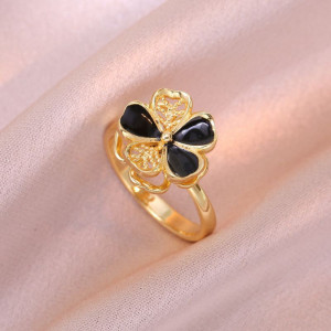 Кольцо сталь CJH12689 Кольцо сталь CJH12689