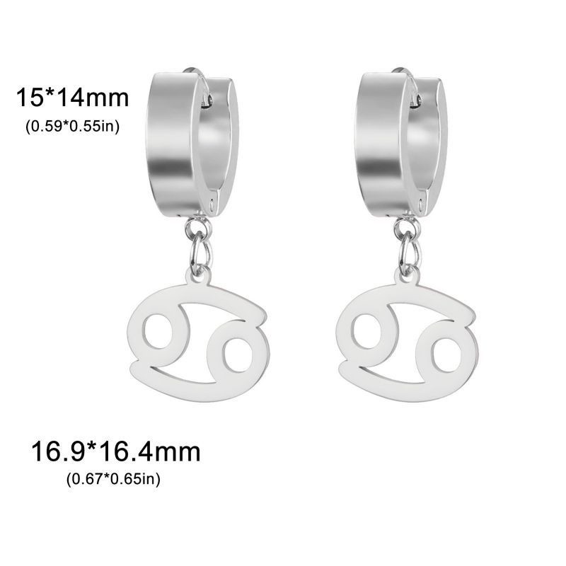 Серьги сталь CJL17234 Серьги сталь CJL17234