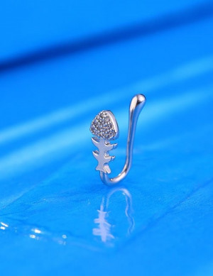 Пирсинг Z59274 Пирсинг Z59274