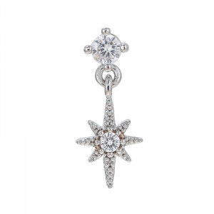 Пирсинг в уши CJE09273