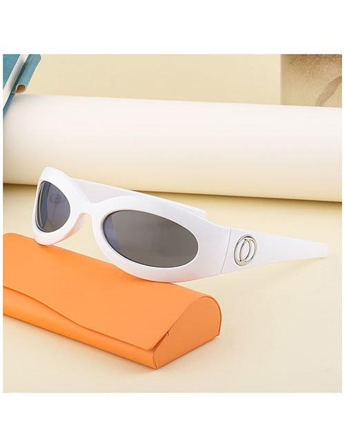 Очки Z30522 Очки Z30522