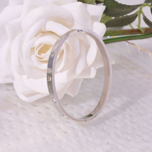 Браслет жесткий стальной с декоративными вставками CJL17747